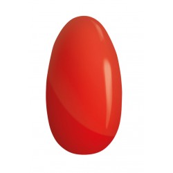NAGELLAK SCUDERIA